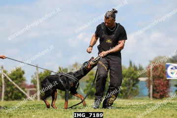 IMG_7189.jpg