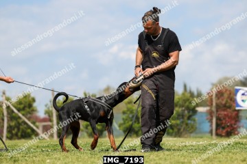 IMG_7193.jpg