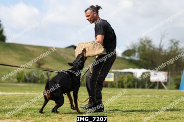 IMG_7207.jpg