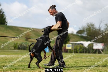 IMG_7213.jpg