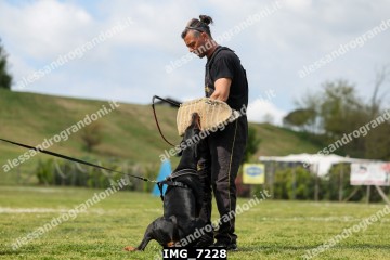 IMG_7228.jpg