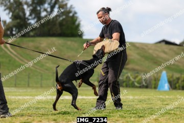 IMG_7234.jpg