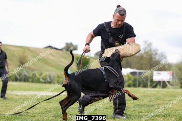 IMG_7396.jpg
