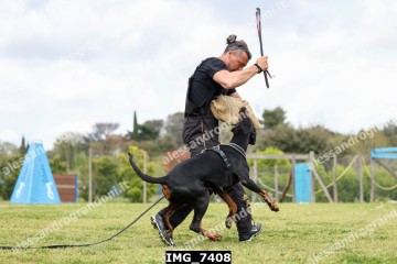IMG_7408.jpg