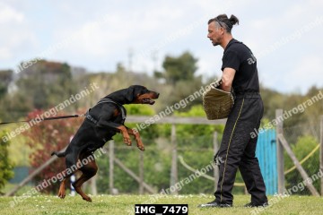 IMG_7479.jpg