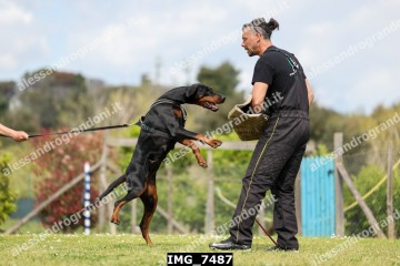 IMG_7487.jpg