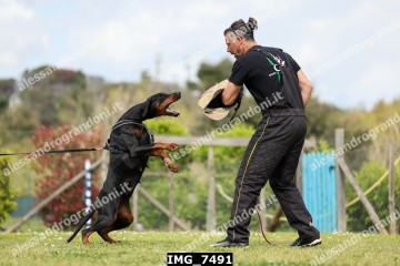 IMG_7491.jpg