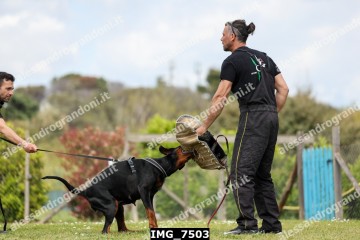 IMG_7503.jpg