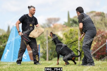 IMG_7543.jpg