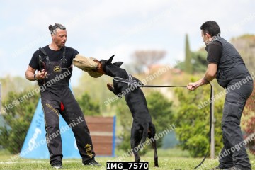 IMG_7570.jpg
