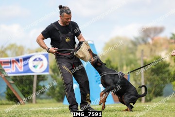 IMG_7591.jpg