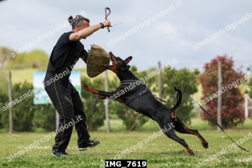 IMG_7619.jpg