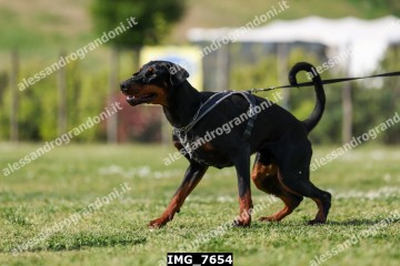 IMG_7654.jpg