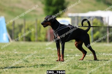 IMG_7660.jpg