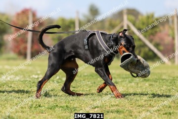 IMG_7821.jpg