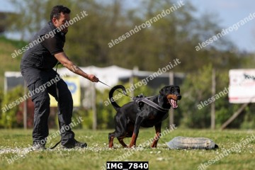 IMG_7840.jpg