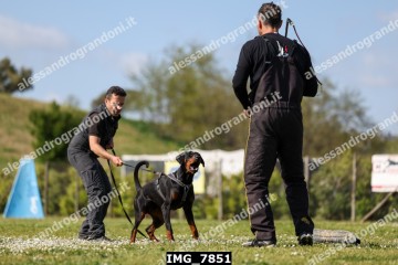 IMG_7851.jpg