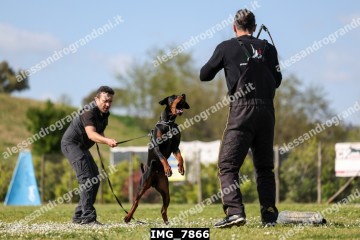 IMG_7866.jpg