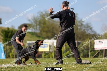 IMG_7894.jpg