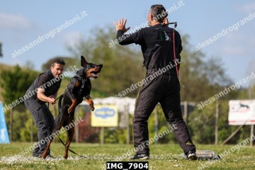 IMG_7904.jpg
