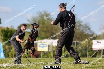 IMG_7909.jpg