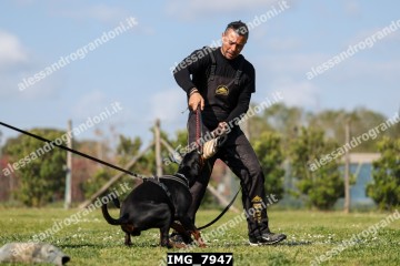 IMG_7947.jpg