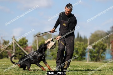 IMG_7953.jpg