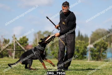 IMG_7956.jpg