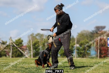 IMG_7971.jpg