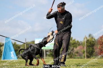 IMG_8034.jpg