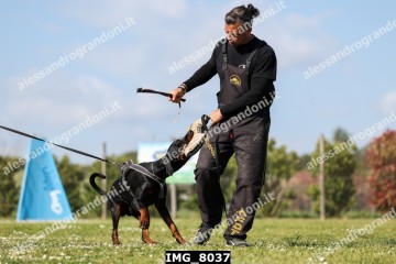 IMG_8037.jpg