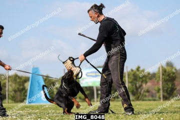 IMG_8048.jpg