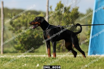 IMG_8058.jpg