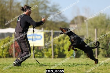 IMG_8065.jpg