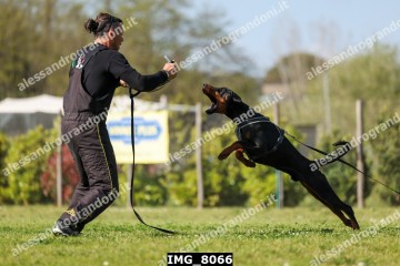 IMG_8066.jpg
