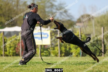 IMG_8067.jpg