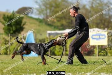 IMG_8086.jpg