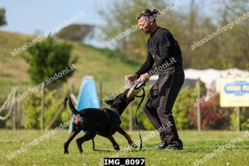 IMG_8097.jpg