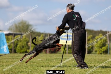 IMG_8147.jpg