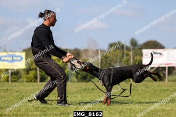 IMG_8162.jpg