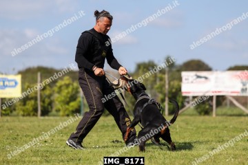 IMG_8171.jpg
