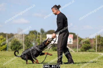 IMG_8177.jpg