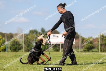 IMG_8184.jpg