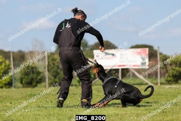 IMG_8200.jpg