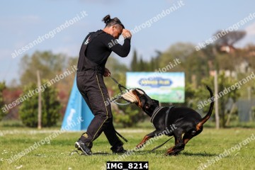 IMG_8214.jpg