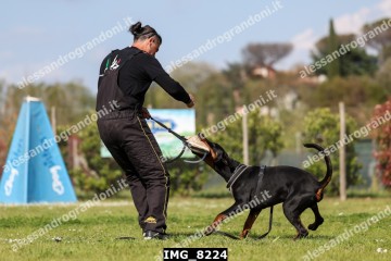 IMG_8224.jpg