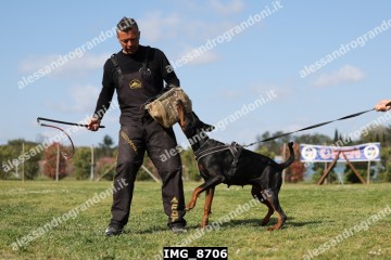 IMG_8706.jpg