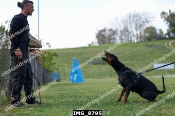 IMG_8795.jpg