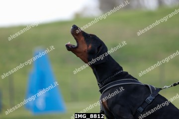 IMG_8812.jpg