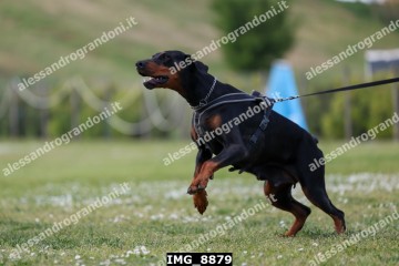 IMG_8879.jpg
